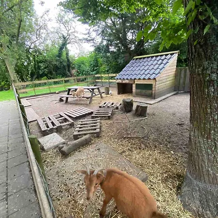 Casa de hóspedes La Luna - Gino 3*